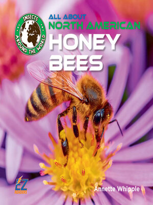 cover image of All About North American Honey Bees